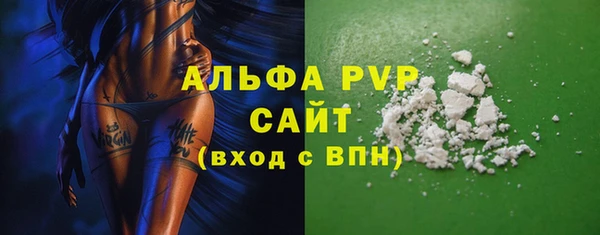 сатива Богданович