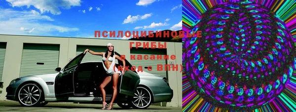 сатива Богданович