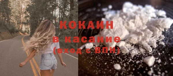сатива Богданович