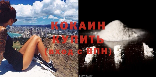 сатива Богданович